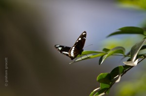 IMG_2156