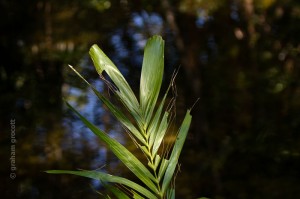 IMG_2210