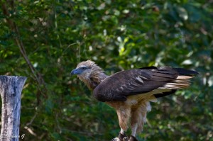 IMG_2245