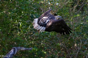IMG_2261
