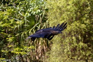 IMG_2263