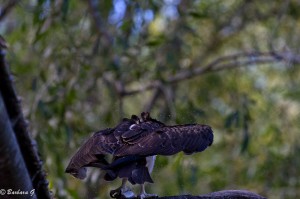 IMG_2277