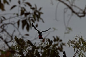 IMG_2281
