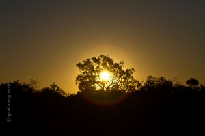 IMG_2323