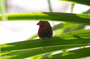 IMG_2364