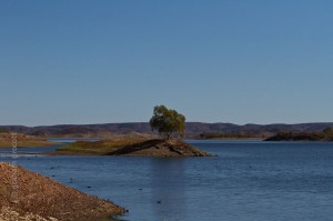 IMG_2369