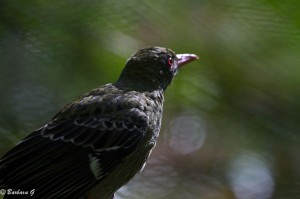IMG_2381