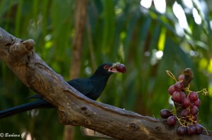 IMG_2402