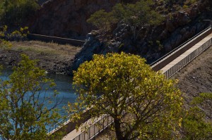 IMG_2402