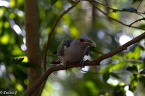 IMG_2405