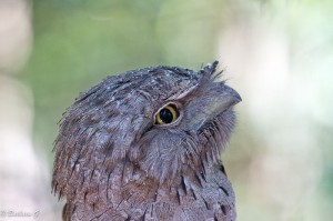 IMG_2408