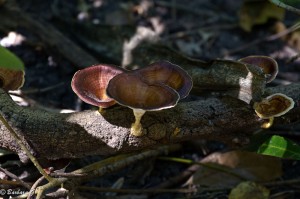 IMG_2414