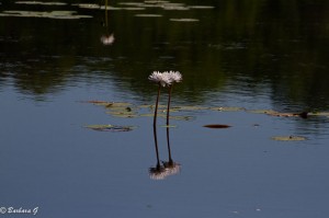 IMG_2469