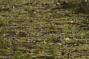 IMG_2476
