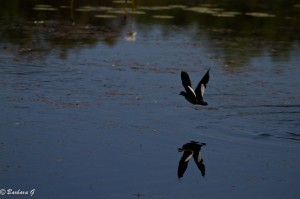 IMG_2543