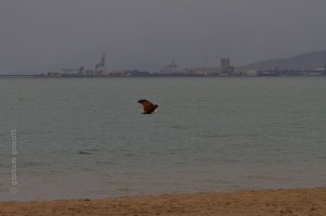 IMG_2568