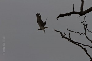 IMG_2574