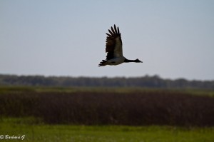 IMG_2777