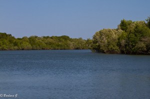 IMG_2925