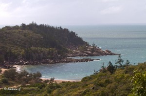 IMG_2946