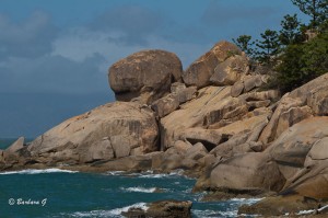 IMG_2955