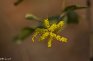 IMG_2975