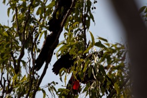 IMG_3108