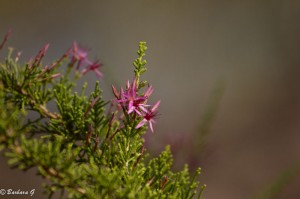 IMG_3192