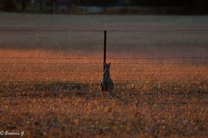 IMG_3253