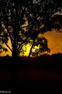 IMG_3260