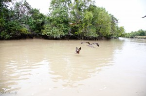 IMG_3289