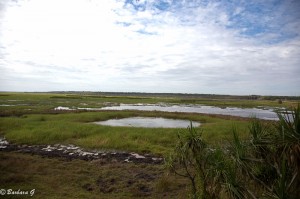 IMG_3361