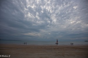 IMG_3387