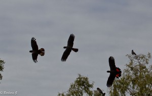 IMG_3405