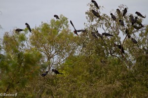 IMG_3482