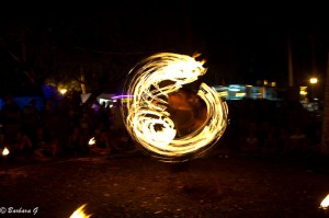 IMG_3517