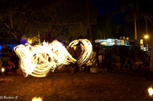 IMG_3520