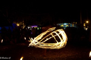 IMG_3522