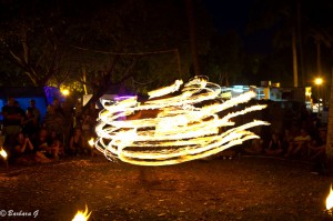 IMG_3523