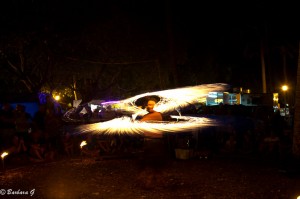 IMG_3536