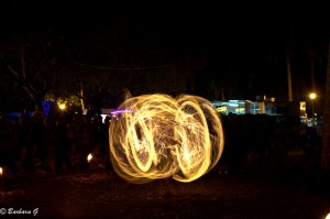 IMG_3542