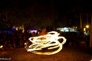 IMG_3555