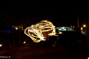 IMG_3556