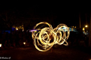 IMG_3558
