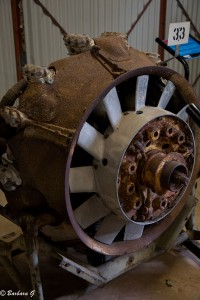IMG_3569