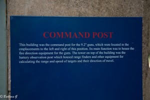 IMG_3572