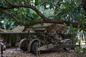 IMG_3576