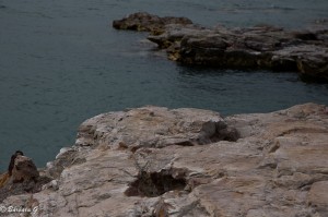IMG_3628