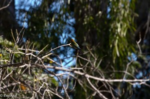 IMG_3628