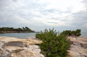 IMG_3631